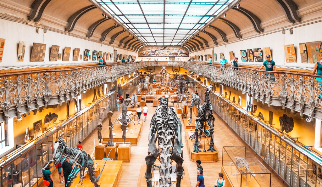 Rubrique Sciences