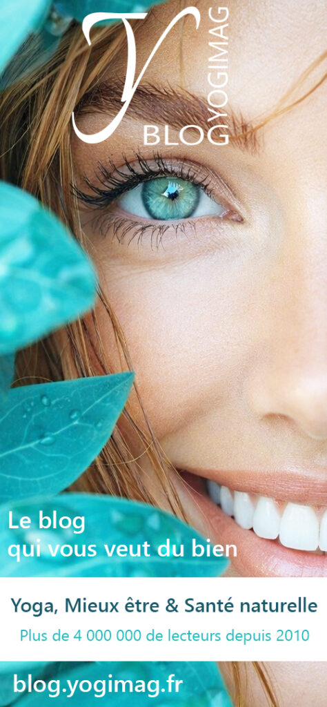 Blog Yogimag