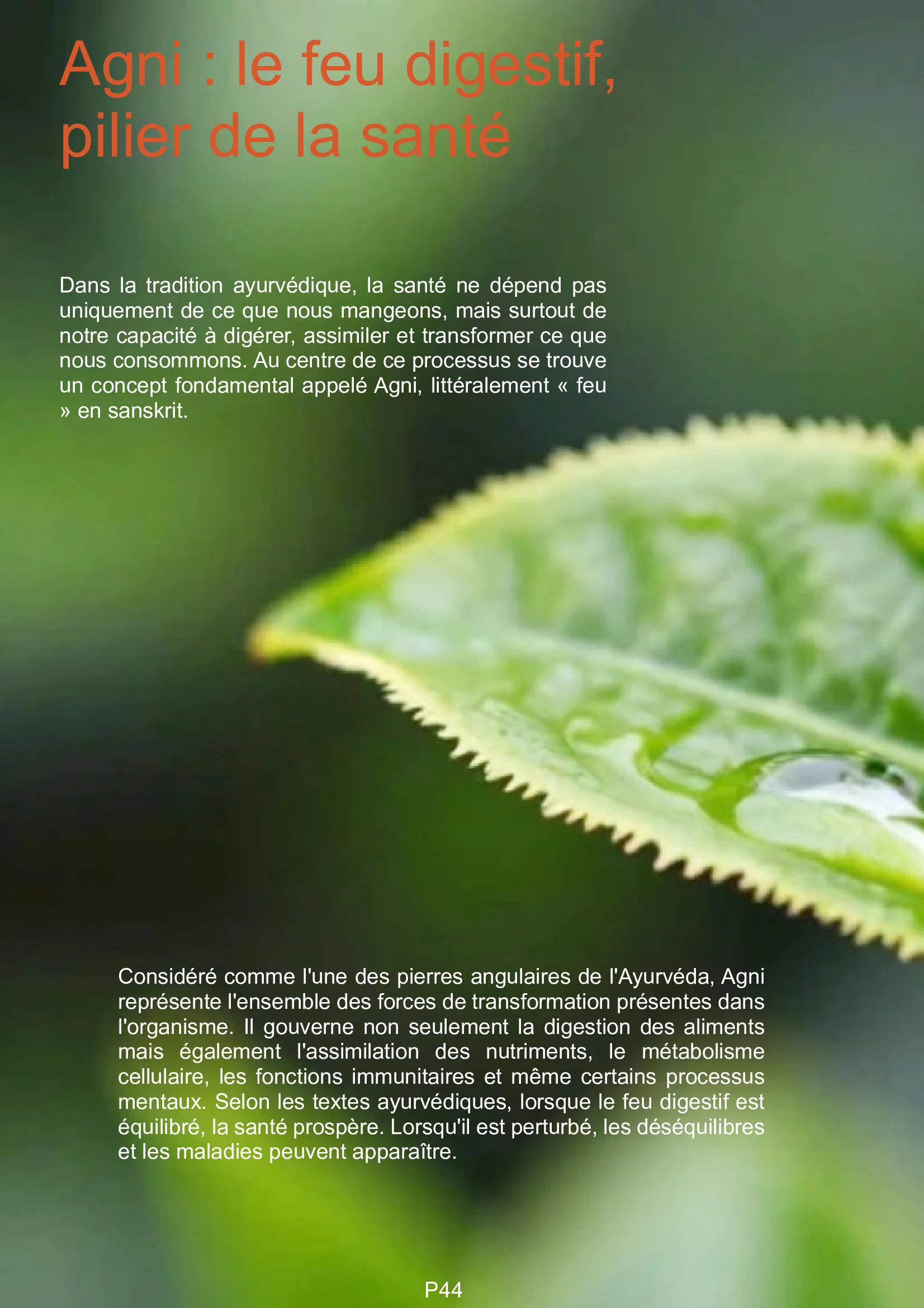 Page 44