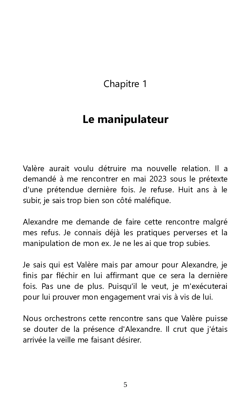 Page 5