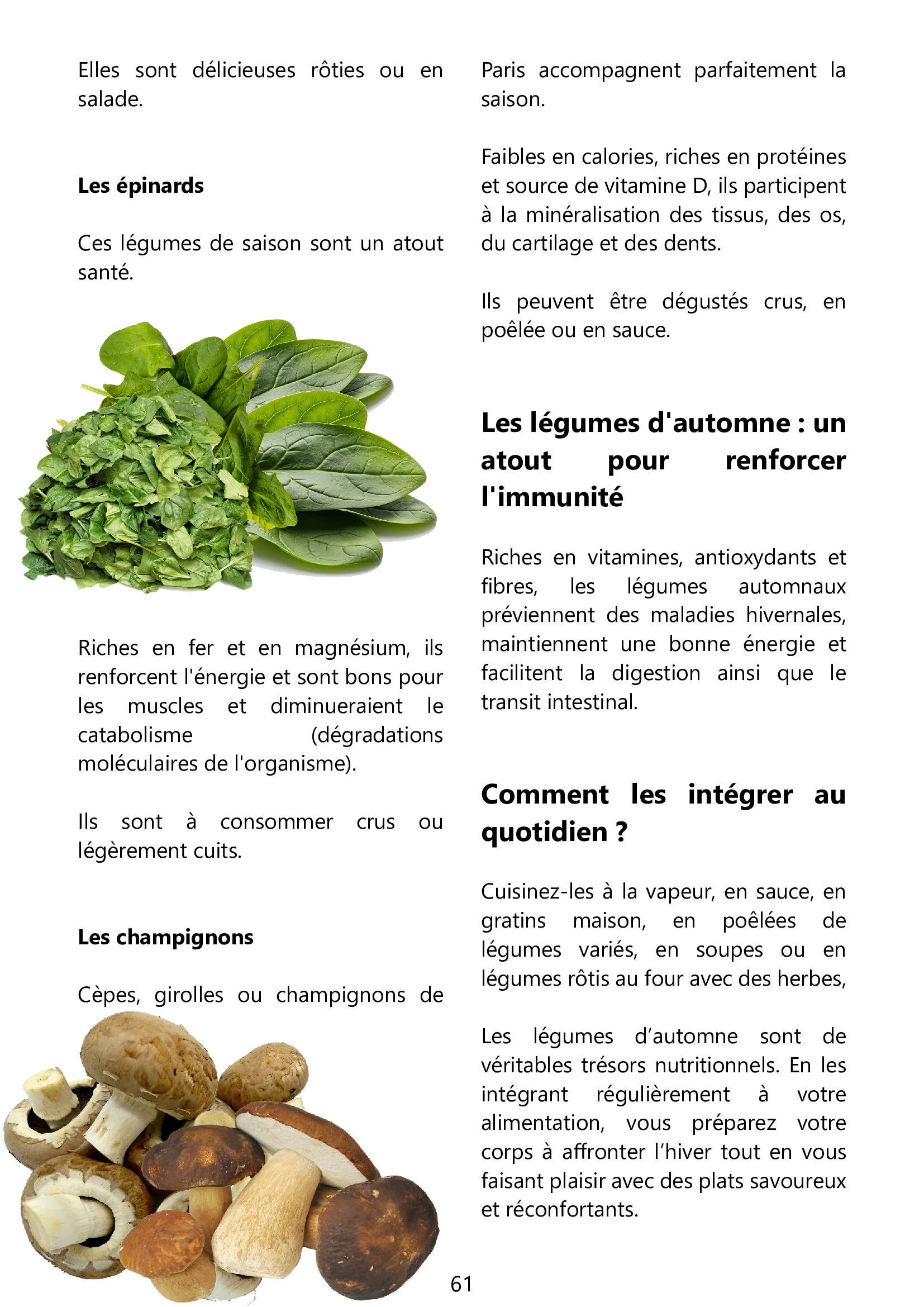 Page 61