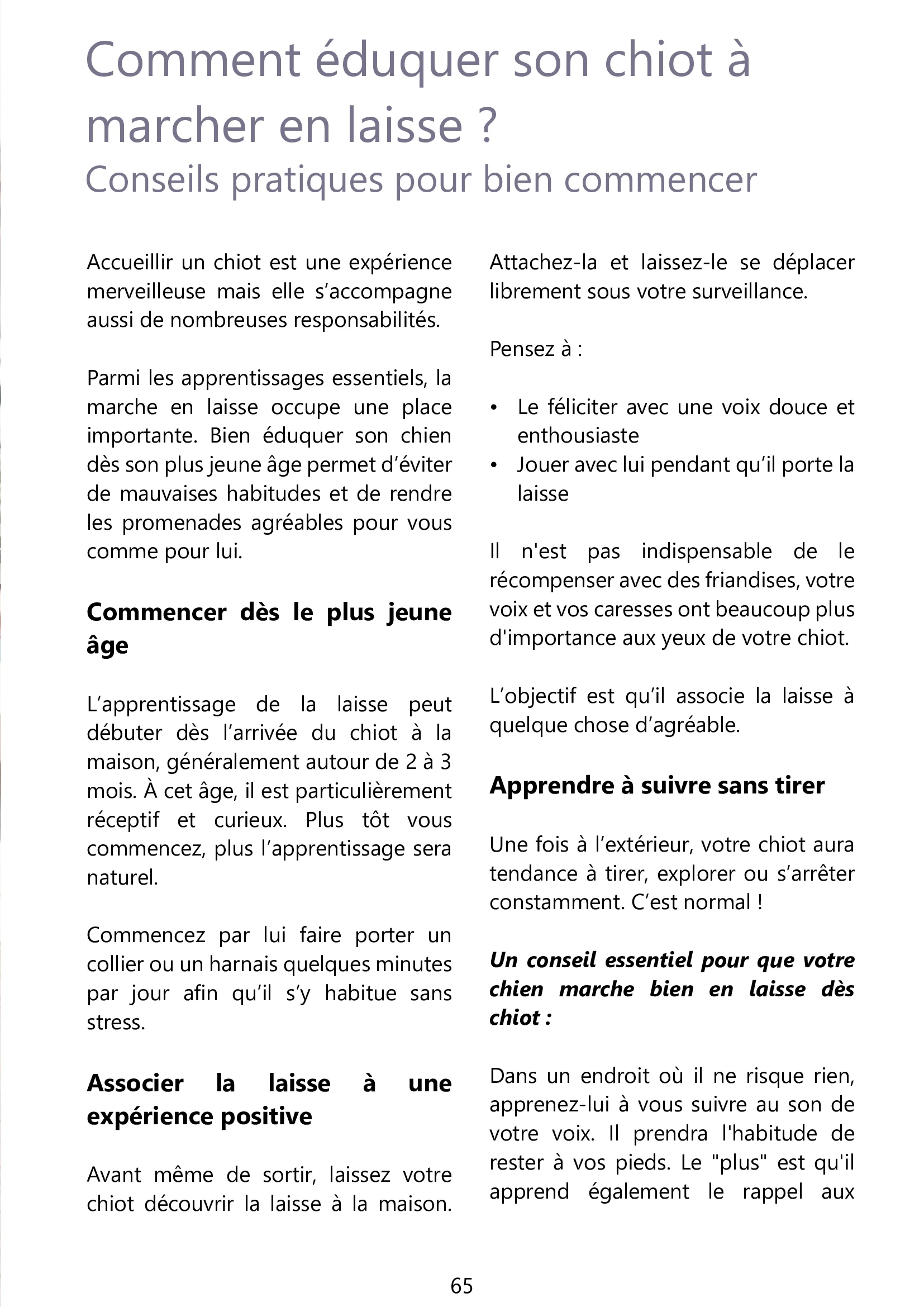Page 65